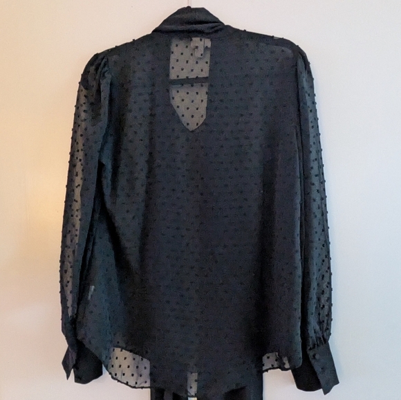Altuzarra Swiss Dot Sheer Tie-Neck Flowy Elegant Timeless Black Sheer Blouse - Picture 4 of 13